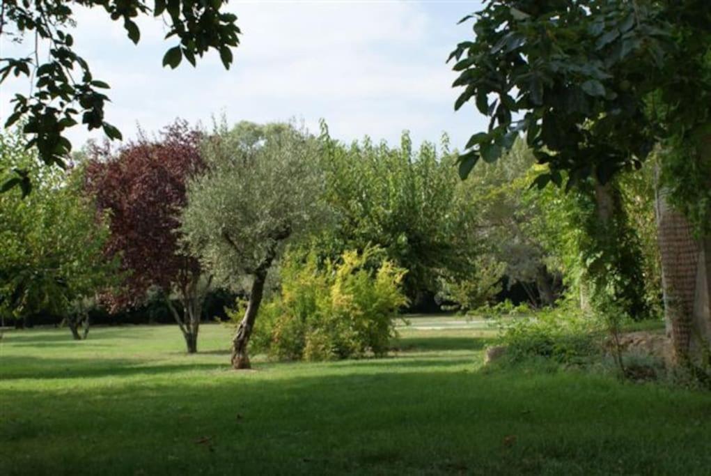 Gite De Charme 80 M², Piscine, Proche D'Uzes. Vezenobres Dış mekan fotoğraf