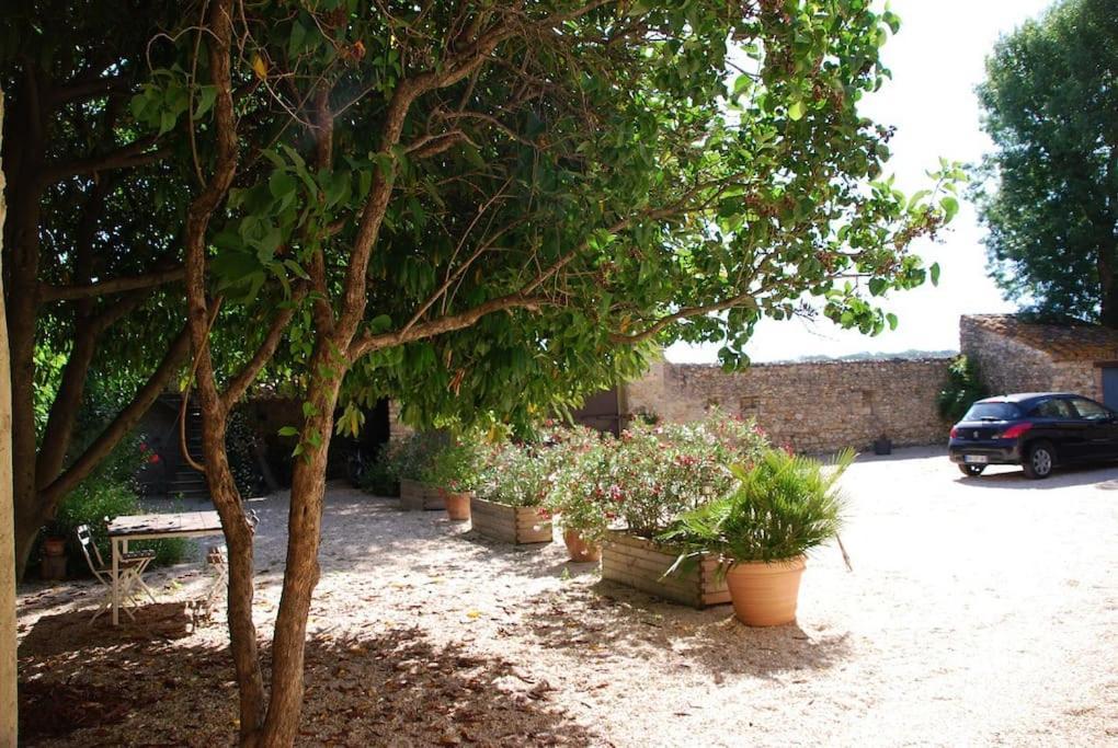 Gite De Charme 80 M², Piscine, Proche D'Uzes. Vezenobres Dış mekan fotoğraf